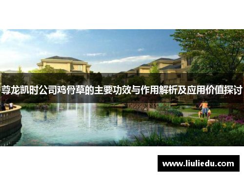 尊龙凯时公司鸡骨草的主要功效与作用解析及应用价值探讨