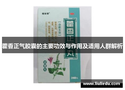 藿香正气胶囊的主要功效与作用及适用人群解析